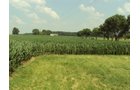 Property photo 32 - 160 Acres Offered in 6 Tracts